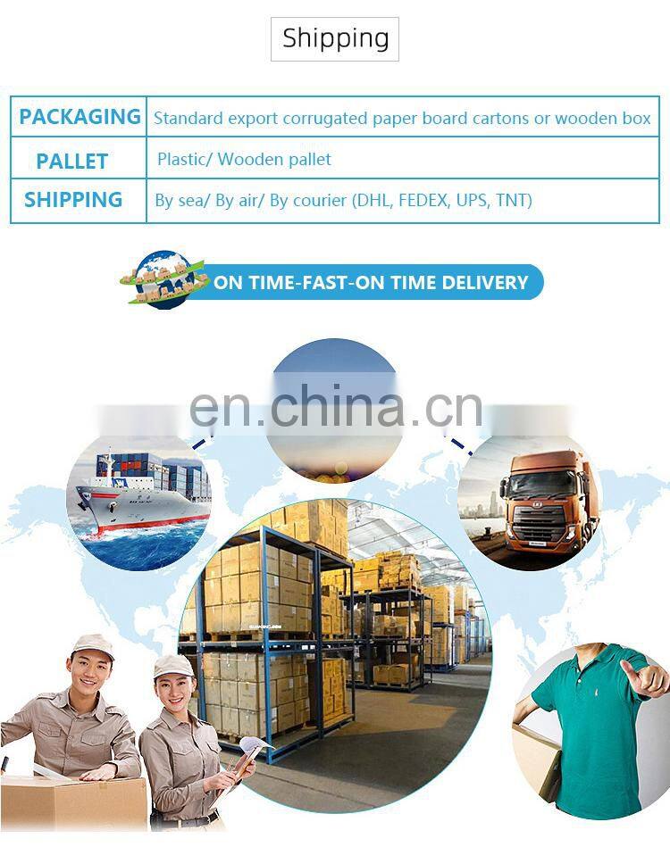 China supplier clinical laboratory analyzer veterinary or human ISE electrolyte analyzer