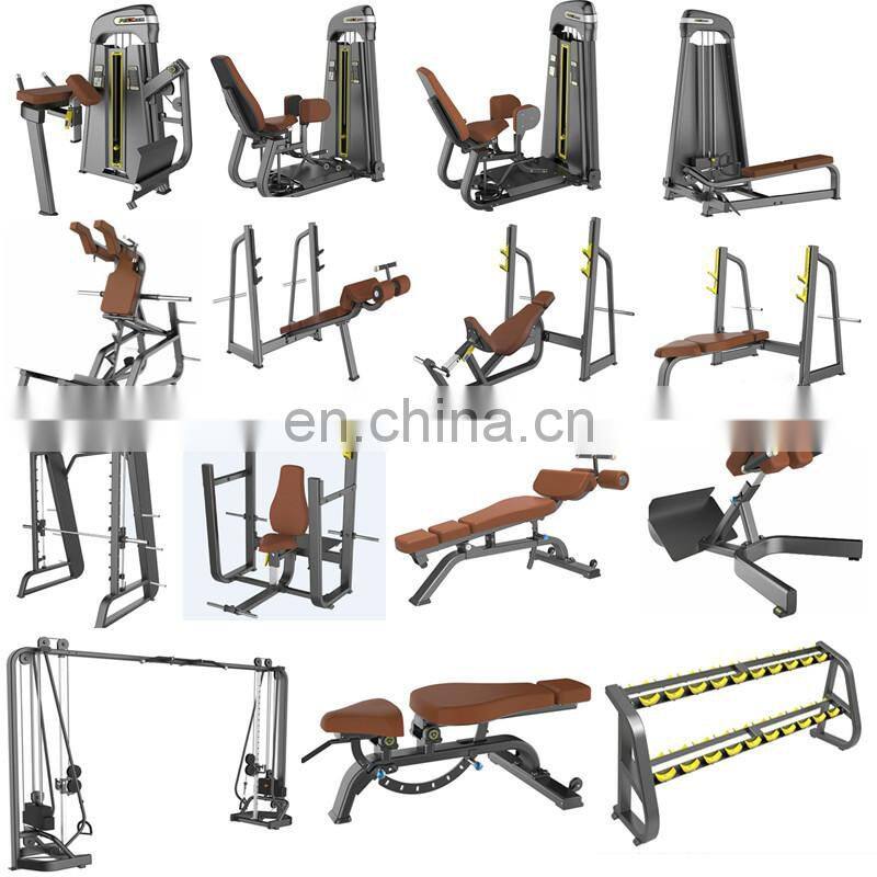 Commercial gym cheap fitness equipment roma bench ASJ-S830 Back Extension bench