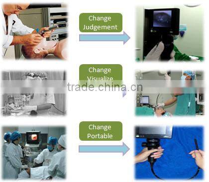 Little animal gastroscope bronchoscope3.8mm portable flexible reusable video veterinary endoscope