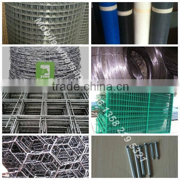 china factory green color 1/2 inch Vinyl Coated welded wire mesh