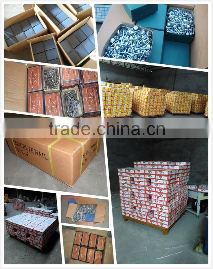 Polished common wire nail/competitive price iron nail factory