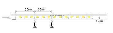 Festival Color Led Digital Strip Light SMD5050 With CE