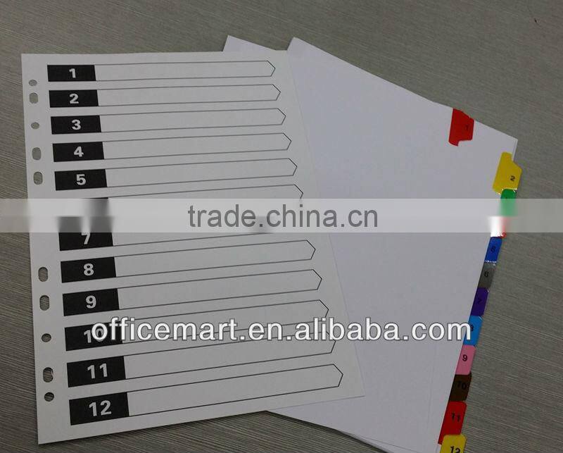 11 holes punched file divider