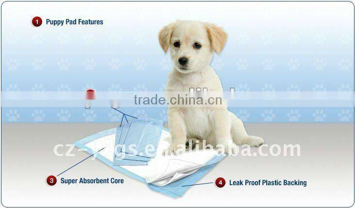 Pet suction pad, a large number of new Puppy training pad dog training pads,Pet training activities