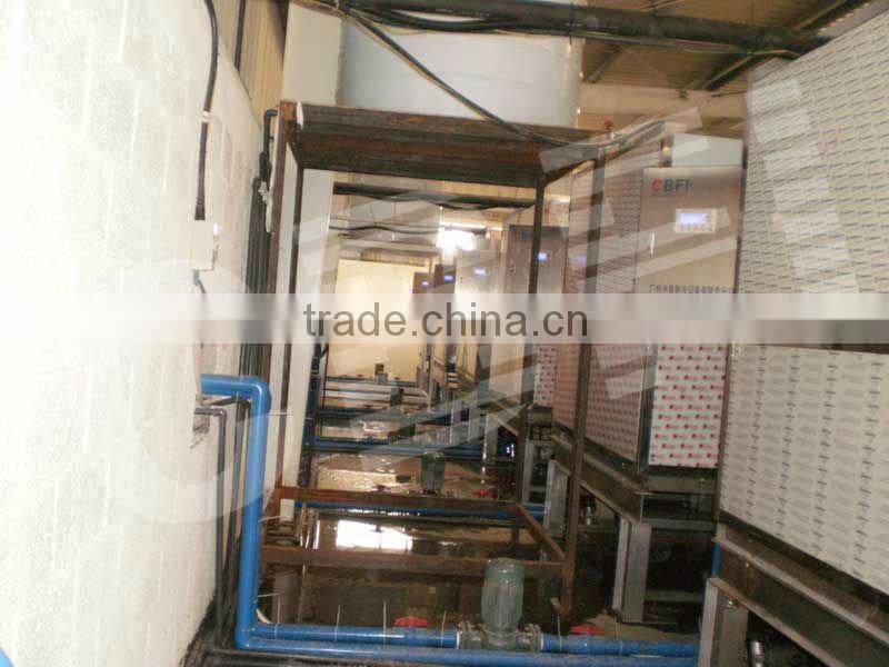 Latest Technology Ice Cube Making Machine with Packing System