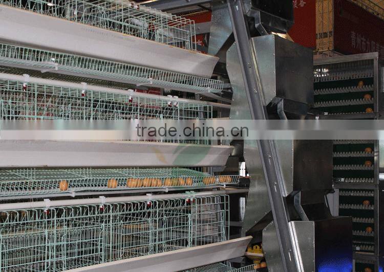 4 tier chicken layer battery cage for tanzania poultry farm house design