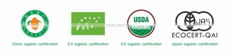 Organic morning green tea rich vitamin tea china exporters