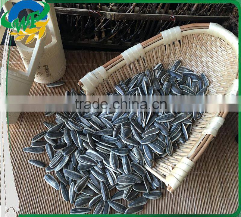 Raw sunflower seeds 0409 stye oil market price oil ukraine