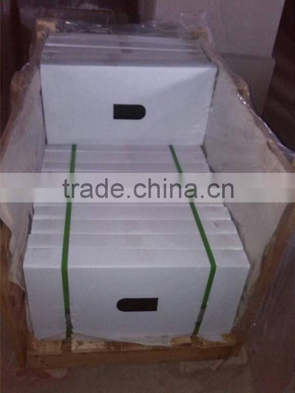 Polished Natural Nero Marquina Marble