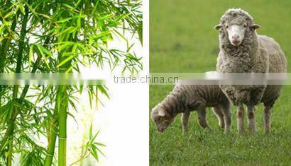 pure cashmere thread PVA blend yarn