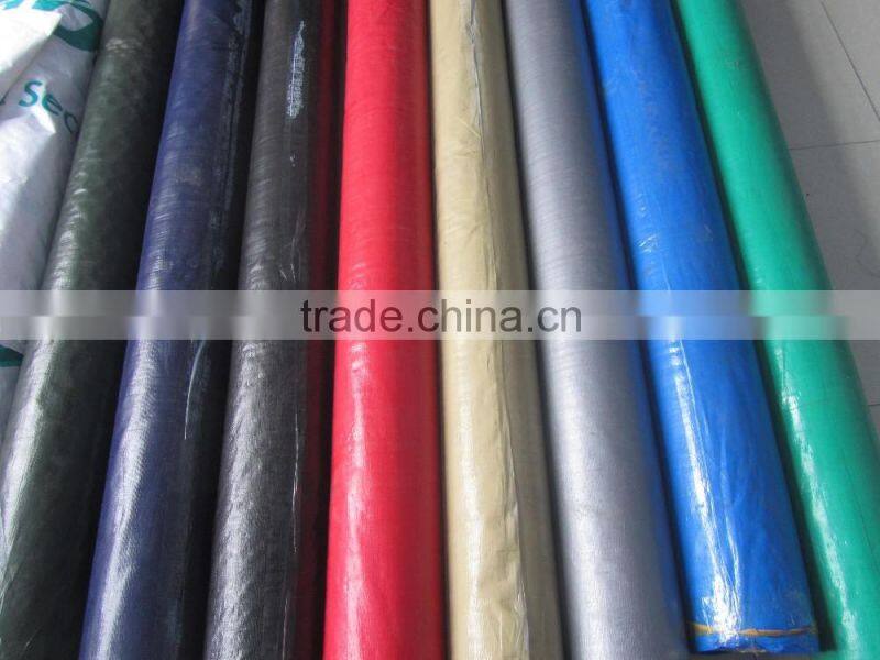 PE/PP Tarpaulin With Eyelets