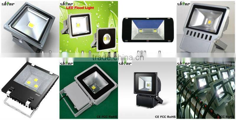led floodlight 110 watt