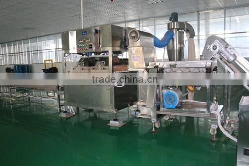 Ningxia Small Red Fruit /goji Berry in bulk