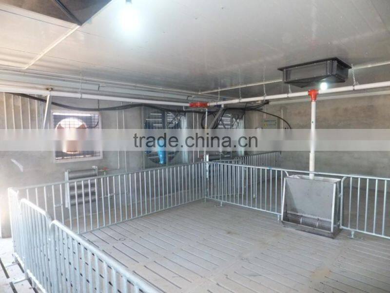 Pig stainless steel double sided, three-head feeder