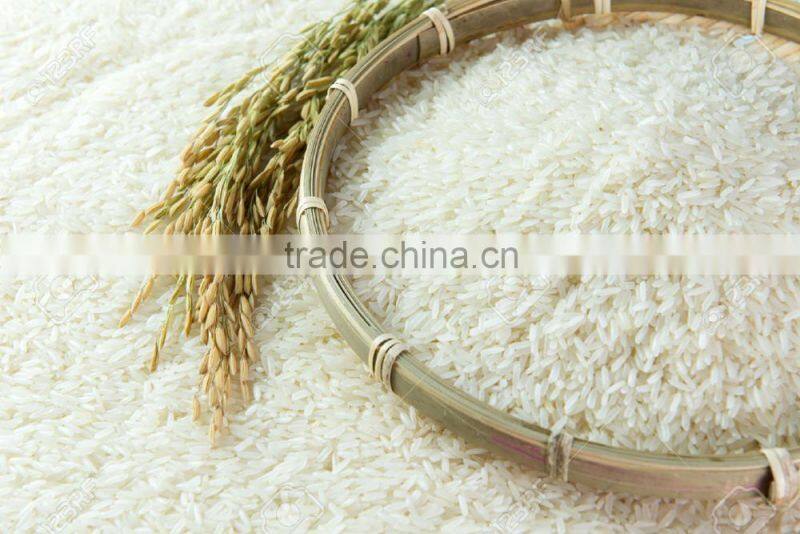 BEST JAPONICA ROUND RICE <5% BOKEN> - CHEAPEST PRICE_HIGH QUALITY - CURRENT RICE