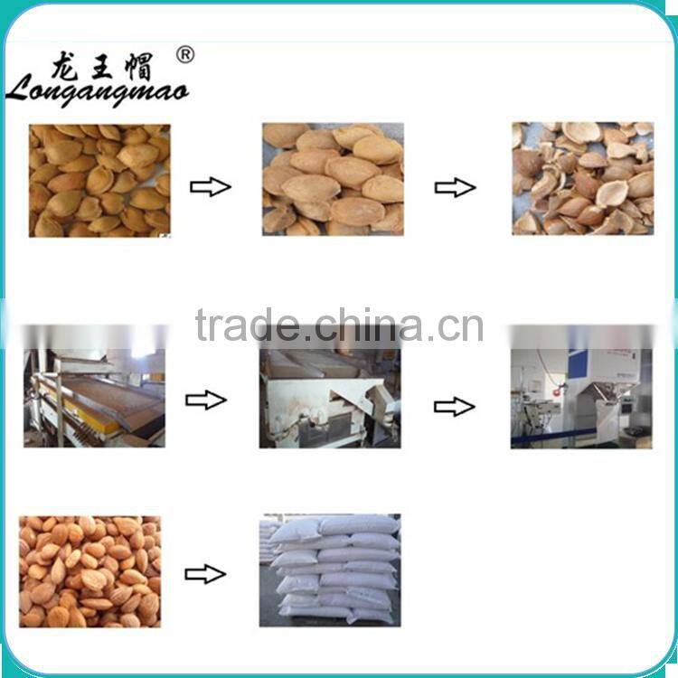 Raw bulk sweet apricot seeds type in apricot kernel, apricot seeds using for nuts, cake, chocolate food companies