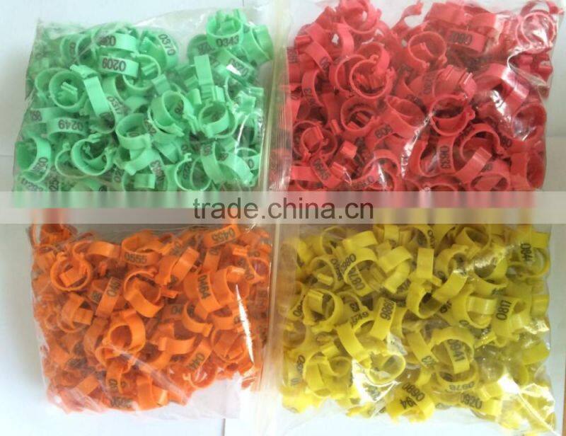 plastic chicken feet tag chicken rings/ tags for chicken