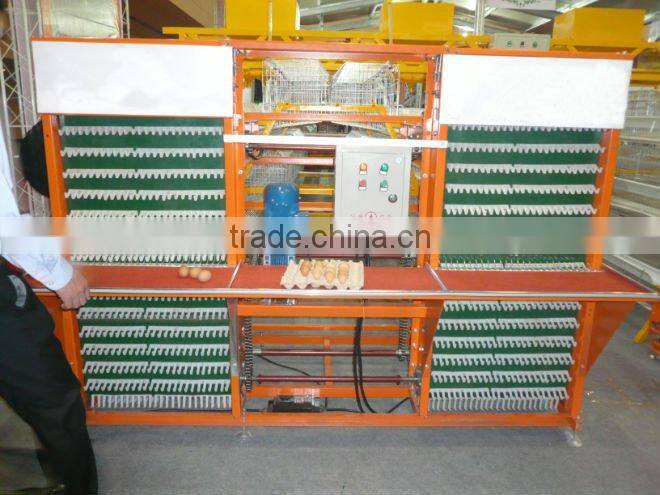 New type of poultry farm auto egg collecting machine