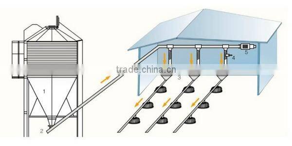 Huabo silos for chickens