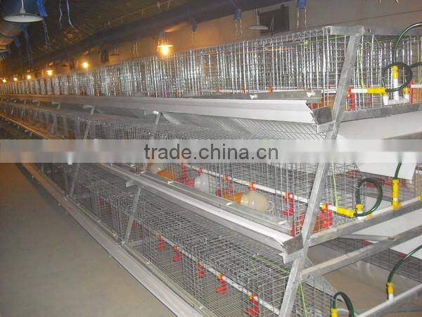 high quality galvanized welded wire chicken cage for poultry