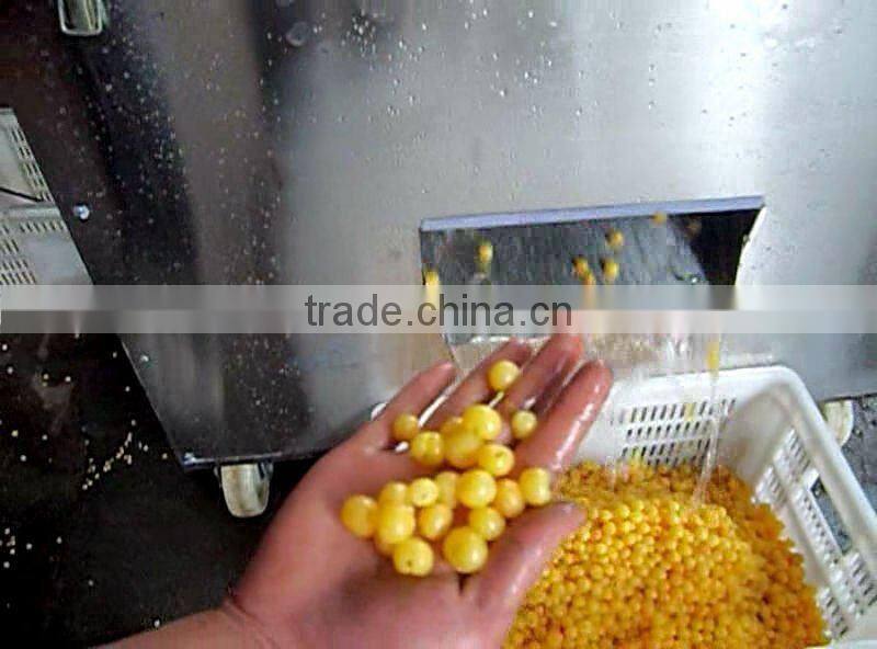 Fruit pitter /date/olive/Plum/Apricot/Hawthorn/Cherry Pitter