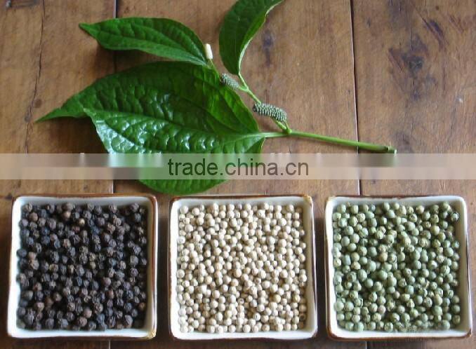 Black pepper processing equipment