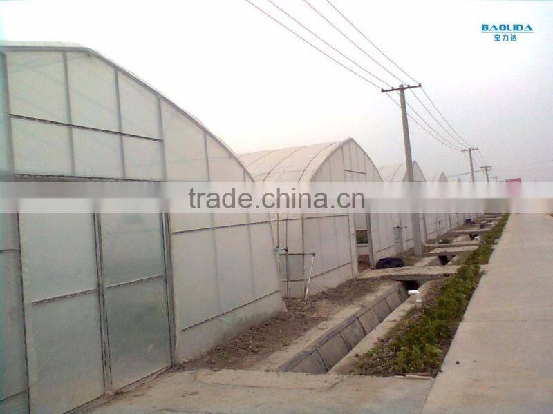 Insect screen for greenhouse