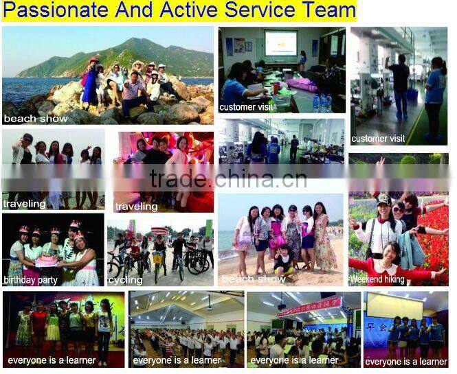 transparent fruit protection bag / fruit packaging bag