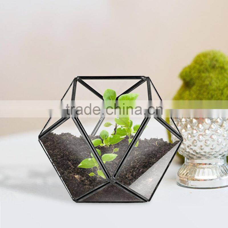 Yiwu direct wholesale,cheap price Cacti Holder Case & Glass Terrarium Diamond