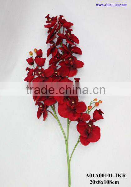 single orchid for christmas