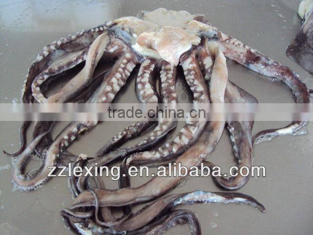 frozen peru giant squid tentacle,wing,neck,fillet,tube