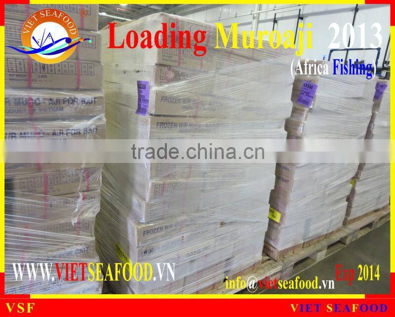 LOADING MUROAJI FOR TUNA BAIT