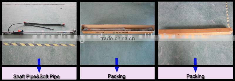 4-Stroke Bckpack Grass Cutter PD-BG003 Brush Cutter Gardening Tools