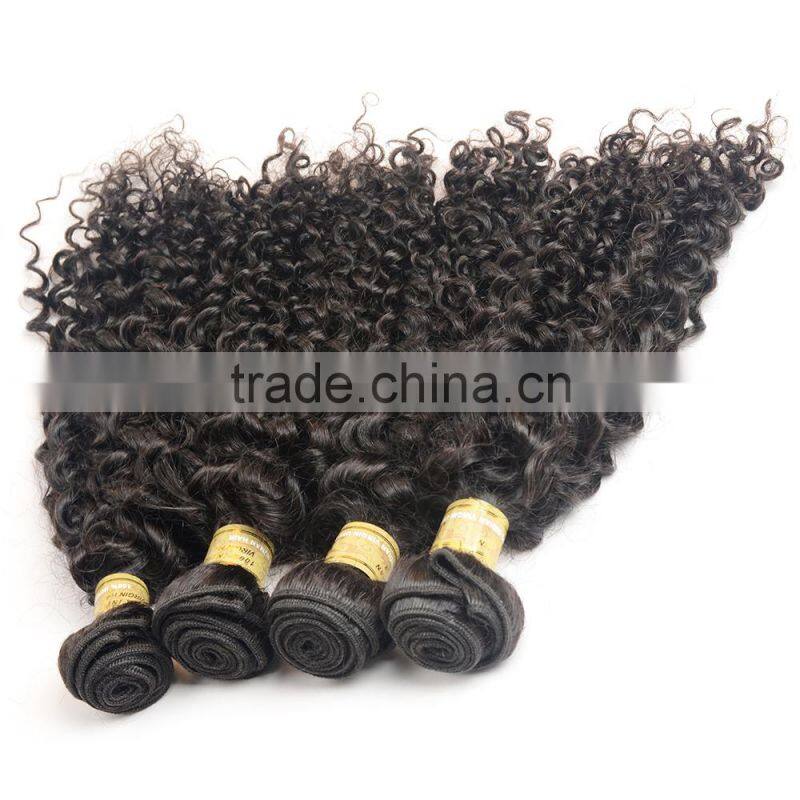 Fast Delivery Online Shop 100% Unprocessed Wholesale Tangle Free No Shedding Curly Raw Virgin Indian Hair