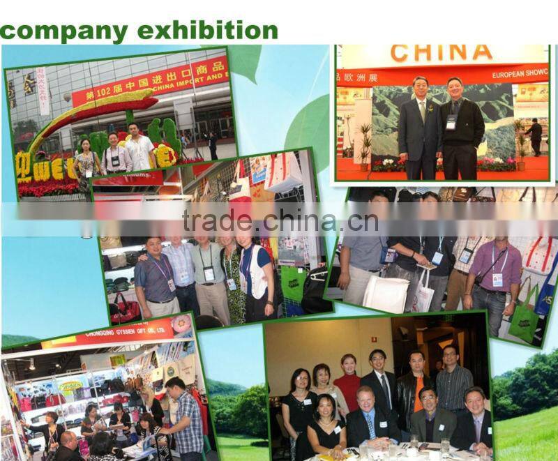 vintage simple plastic luggage tag strap