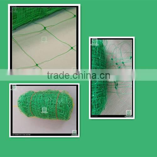 Garden and Plant Plastic Trellis and Fencing Mesh Support net(Green) - ideal for climbers, runner beans and sweet peas