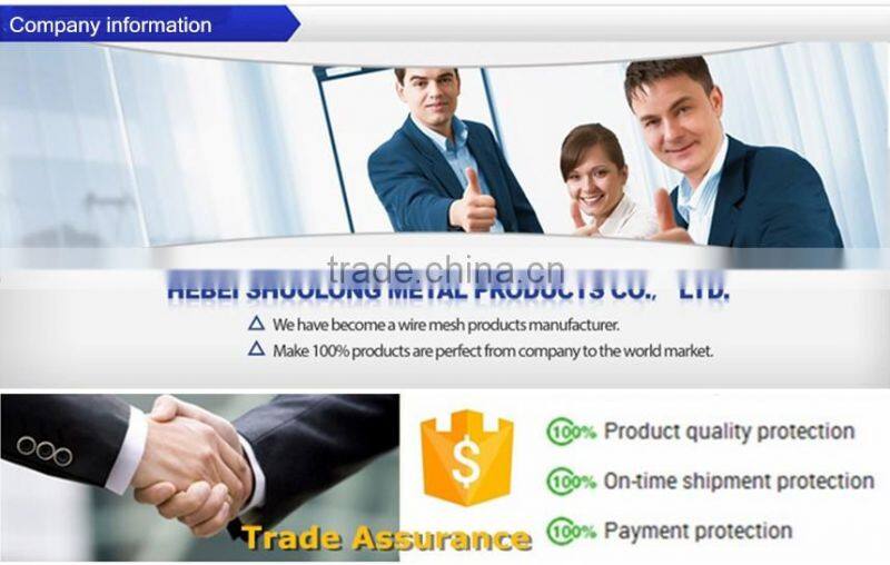 Hebei Shuolong XY-3317 stainless steel metal mesh ceiling