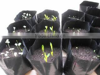 1gal poly grow bag for seed nursery