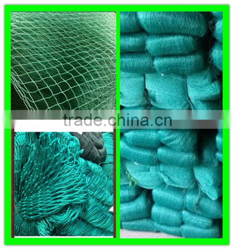 Henan Suntex professional supply PE anti bird net for garden protection