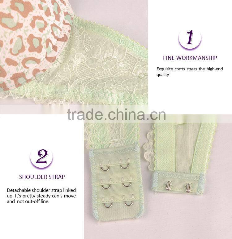 Made in China Pretty Pattern Leopard New Bra Panti Photo