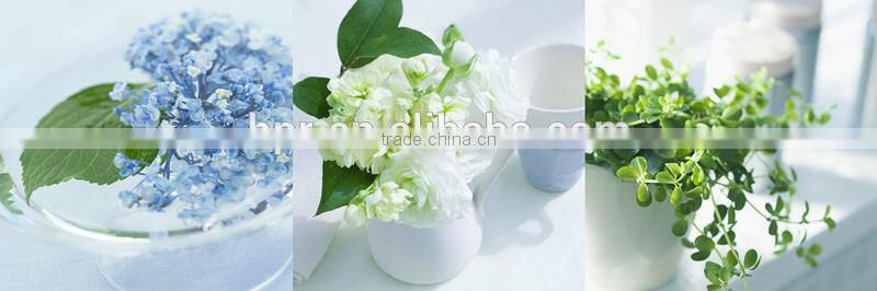 wholesale flower group painting on canvas