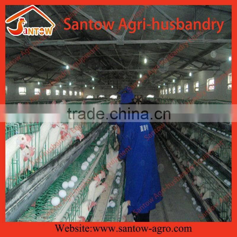 Chicken use welded wire chicken layer cages chicken farm equipment 120 birds