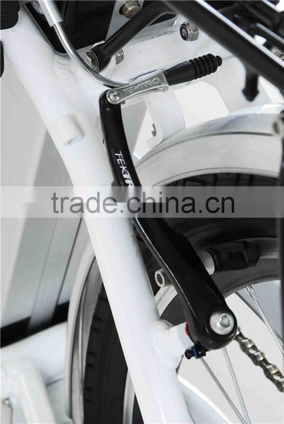 2014 new special models 26" lady city electric bike TDF13Z OEM Appoved
