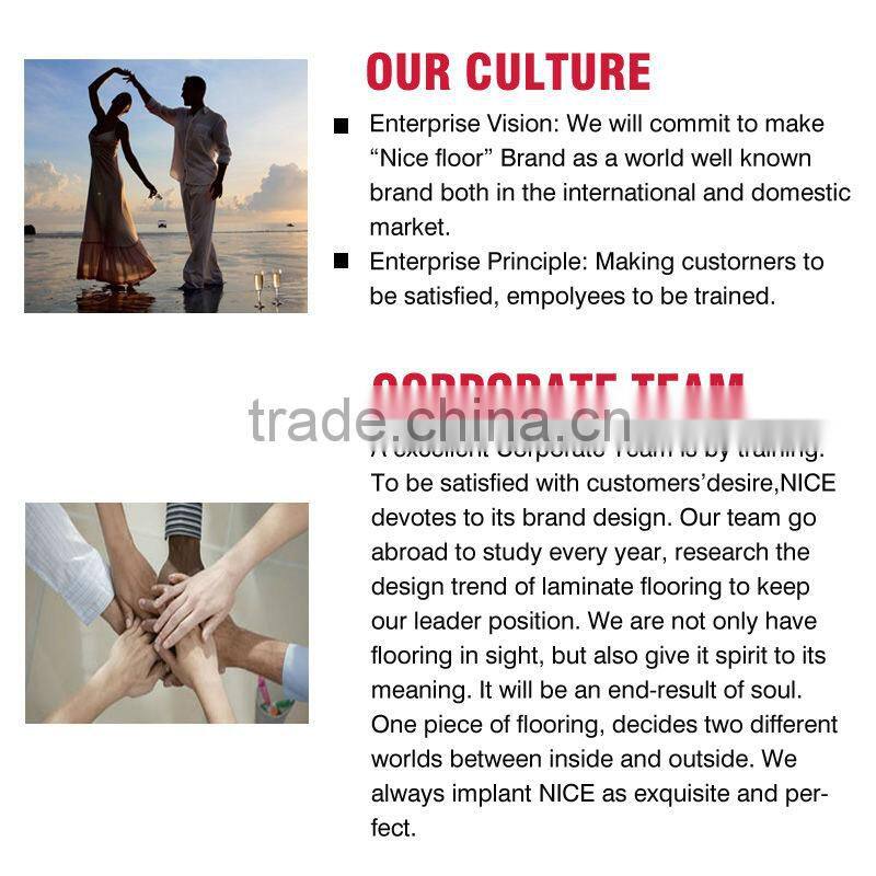 8mm 12mm hdf V-groove painted german techniquel aminate flooring