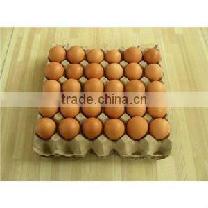 paper recycling good quality rotary paper pulp egg tray machine