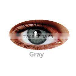 korea Eclipse yearly colour contact lenses 3 tone manufactured in korea