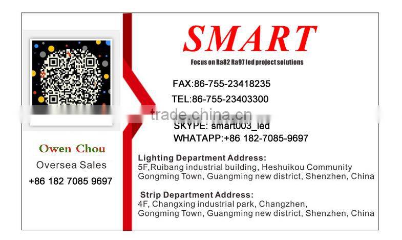 Led strip light DC12/24v high bright 5050 led strip 60leds/m flexible addressable rgb led strip