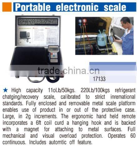 Portable electronic scale
