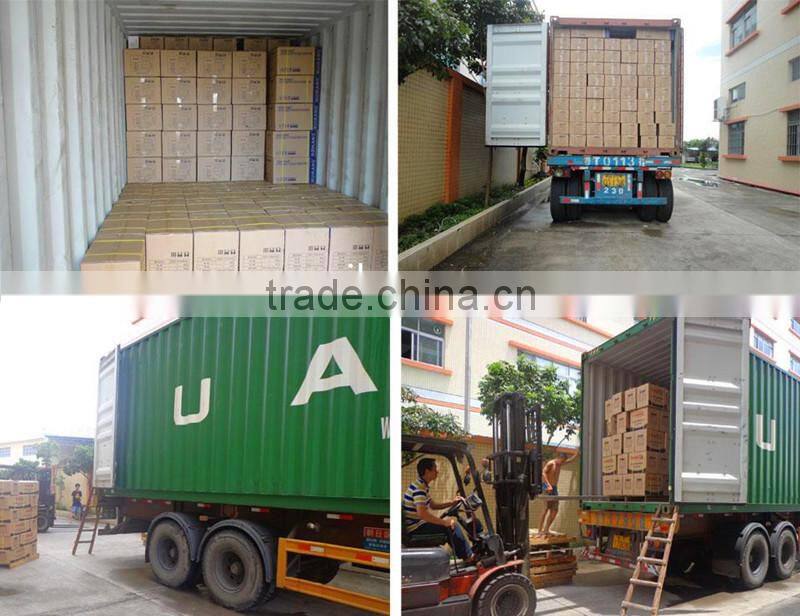 AC automatic voltage stabilizer renault voltage regulator