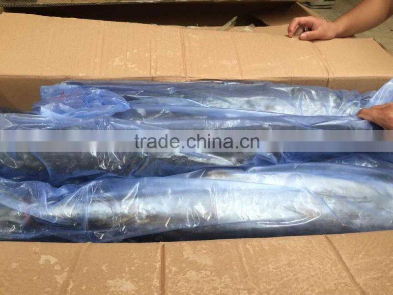 Wholesale Whole Round Spanish Mackerel Fish On Sale